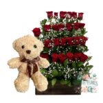 Arreglo 24 Rosas + Peluche