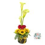 Box Cilindro Rosas + Girasoles + Calas