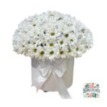 Box Margaritas Blancas