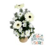 Arreglo Gerberas + Margaritas
