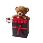 Box 10 Rosas + Peluche
