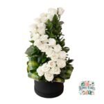 Arreglo Box Cilindro 25 Rosas Blancas