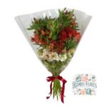 Ramo De Astromelias 30 Varas