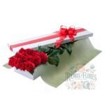 Caja 12 Rosas Rojas