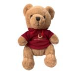 Oso Con Polerón 22cm